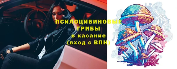 прущий лед Весьегонск